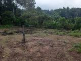Land for sale - Waliweriya