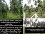 Land For Sale In Narammala